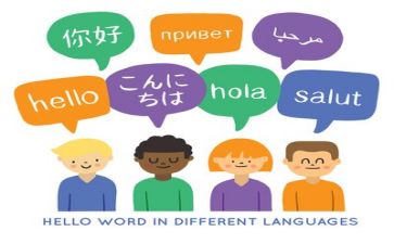 区语言文字工作总结7篇