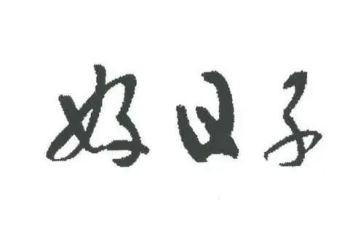 00后新员工培训心得体会模板5篇