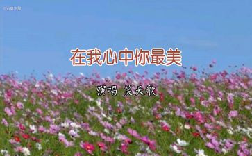 2023年小学老师工作计划最新5篇