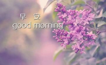 校园的早晨的作文最新7篇