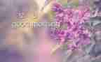 校园的早晨的作文最新7篇