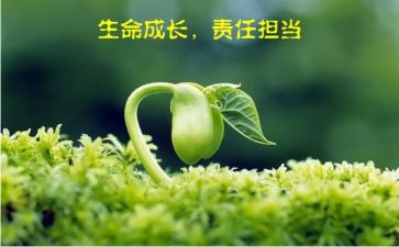 落实主体责任的心得体会7篇
