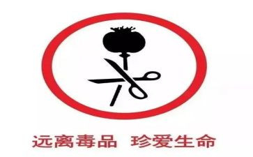 三月三活动总结5篇