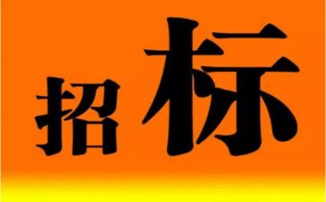 采购招标工作总结8篇