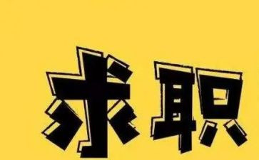 关于大学生找工作总结8篇