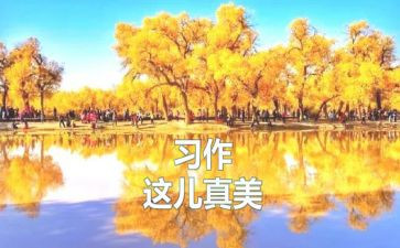 2022学期教育工作总结6篇