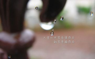 2023保育月工作总结优秀7篇
