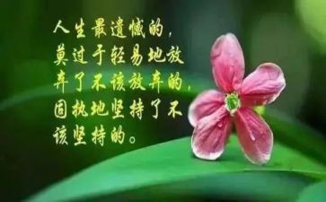 哲理故事读后感8篇
