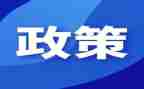 双减政策教学工作总结6篇