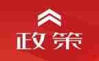 双减政策研修总结6篇