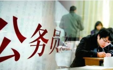 公务政审个人总结6篇