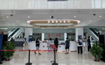 政务服务个人总结8篇
