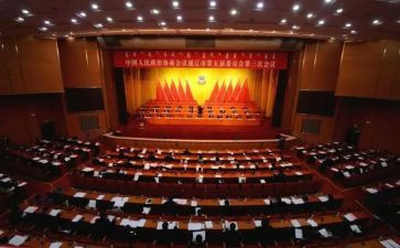 区政协委员年度述职报告6篇