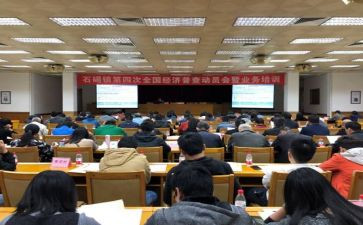 镇统计站工作总结通用5篇