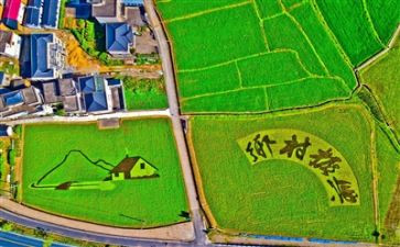 市乡村振兴工作计划5篇
