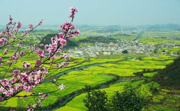 市乡村振兴工作计划优质6篇