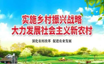 振兴工作工作总结报告5篇