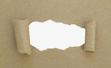 作文纸模板800字6篇