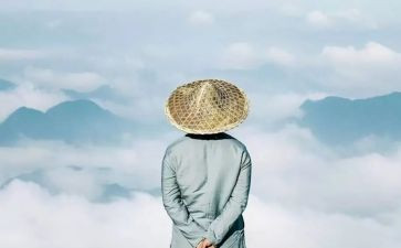 读教育的智慧的读后感6篇