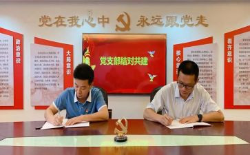 2024党支部活动方案5篇