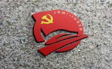 党支部培训班心得体会6篇
