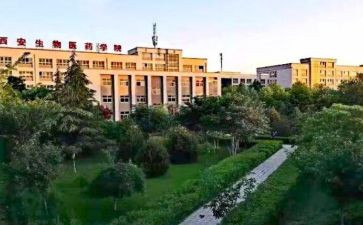 职高教师个人工作计划5篇