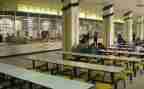 中学教案模板6篇