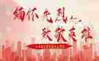 像英雄致敬的演讲稿7篇
