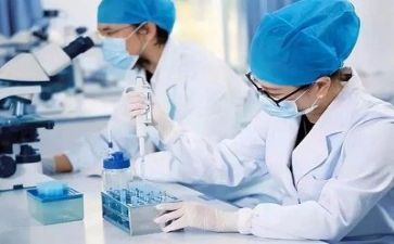 质量管理部2024年工作总结精选8篇