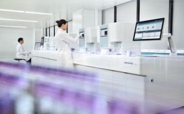 半年度质量工作总结参考8篇