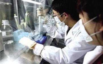 质量组工作总结8篇