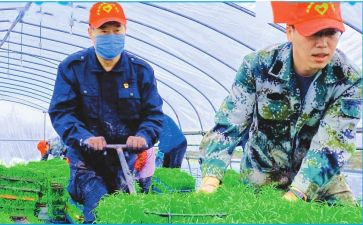 2023班主任暑期培训心得8篇