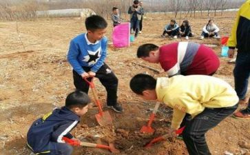 中学生感恩教师节的演讲稿5篇