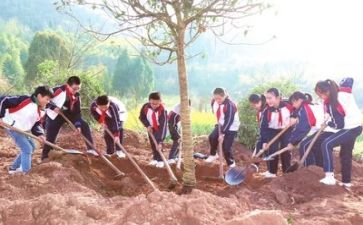 2022外科工作计划范文8篇