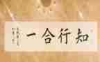 2023年度卫生站工作计划7篇