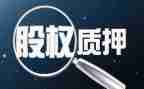 个人车辆质押合同7篇