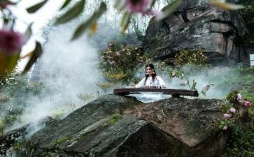 我的好知音作文5篇