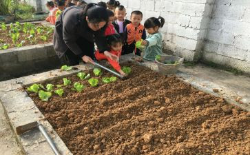 一个小学生作文5篇