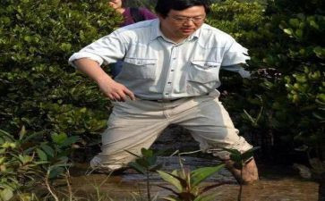 《曾国藩家书》读后感7篇