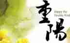幼儿园小班重阳节活动方案8篇