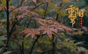 中班活动重阳节教案6篇