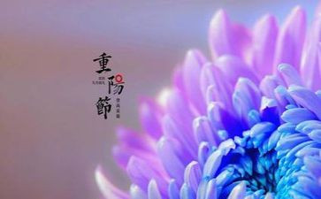有关重阳节的作文5篇