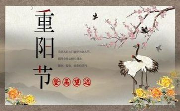 写重阳节重阳节登高作文5篇