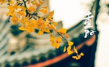 我的重阳节作文7篇