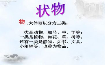 状物作文500字8篇