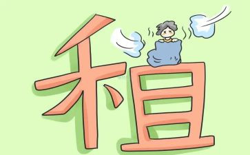 转租赁合同5篇