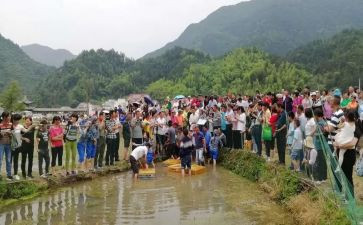 小六学科工作计划推荐7篇