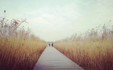 追寻梦想的作文优质7篇