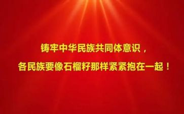 学习铸牢中华民族共同体意识心得体会7篇