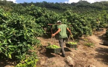 下学期综合教研组工作计划5篇